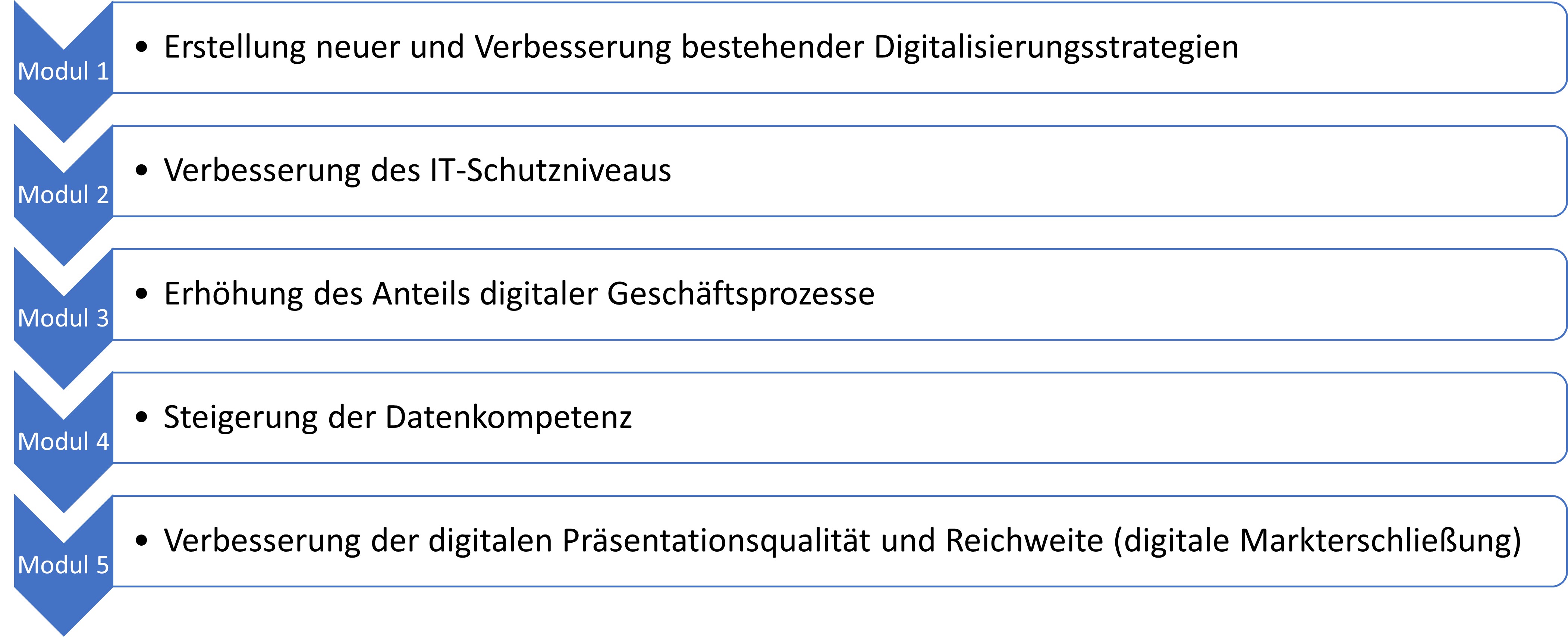 go digital Förderprogramm Module