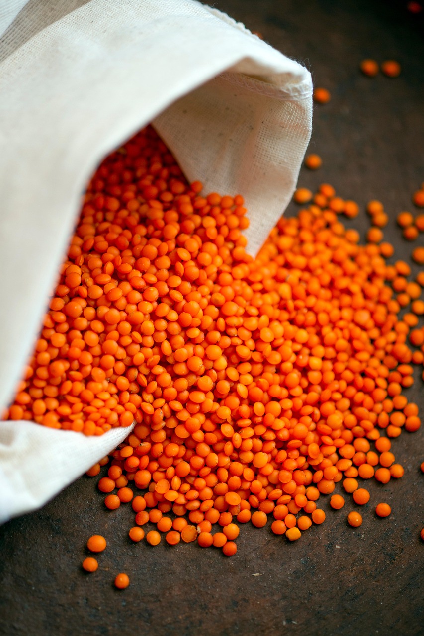 entdecken sie nachhaltige ernährung: tipps, rezepte und informationen für eine umweltfreundliche, gesunde lebensweise. lernen sie, wie sie durch bewusste essgewohnheiten die umwelt schonen und vital bleiben können.