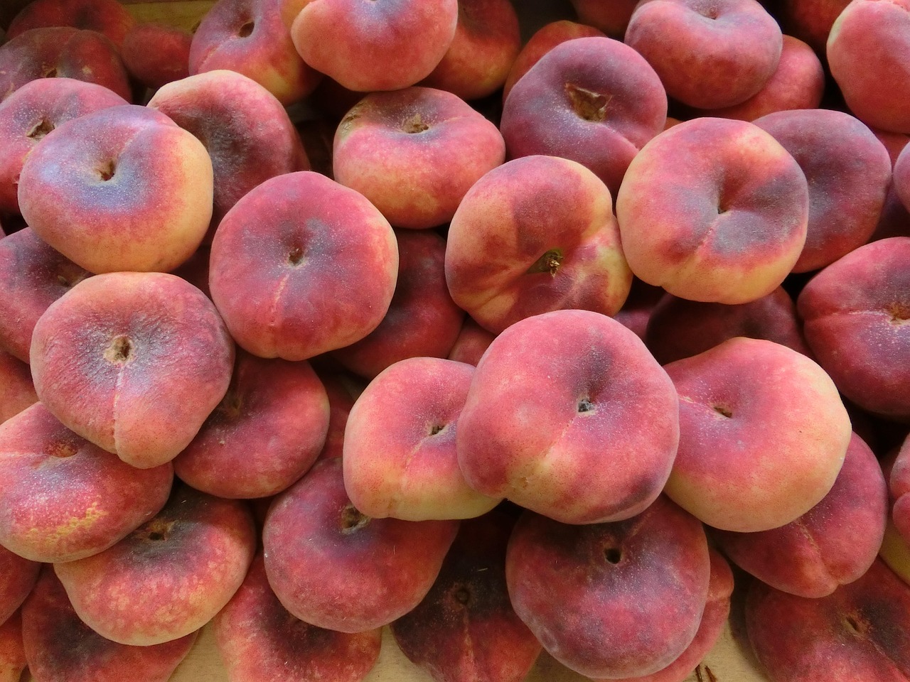 entdecken sie alles über vitamine: wofür sie wichtig sind, welche arten es gibt und wie sie ihre gesundheit unterstützen. tipps zur täglichen versorgung mit den wichtigsten vitaminen für ihr wohlbefinden.