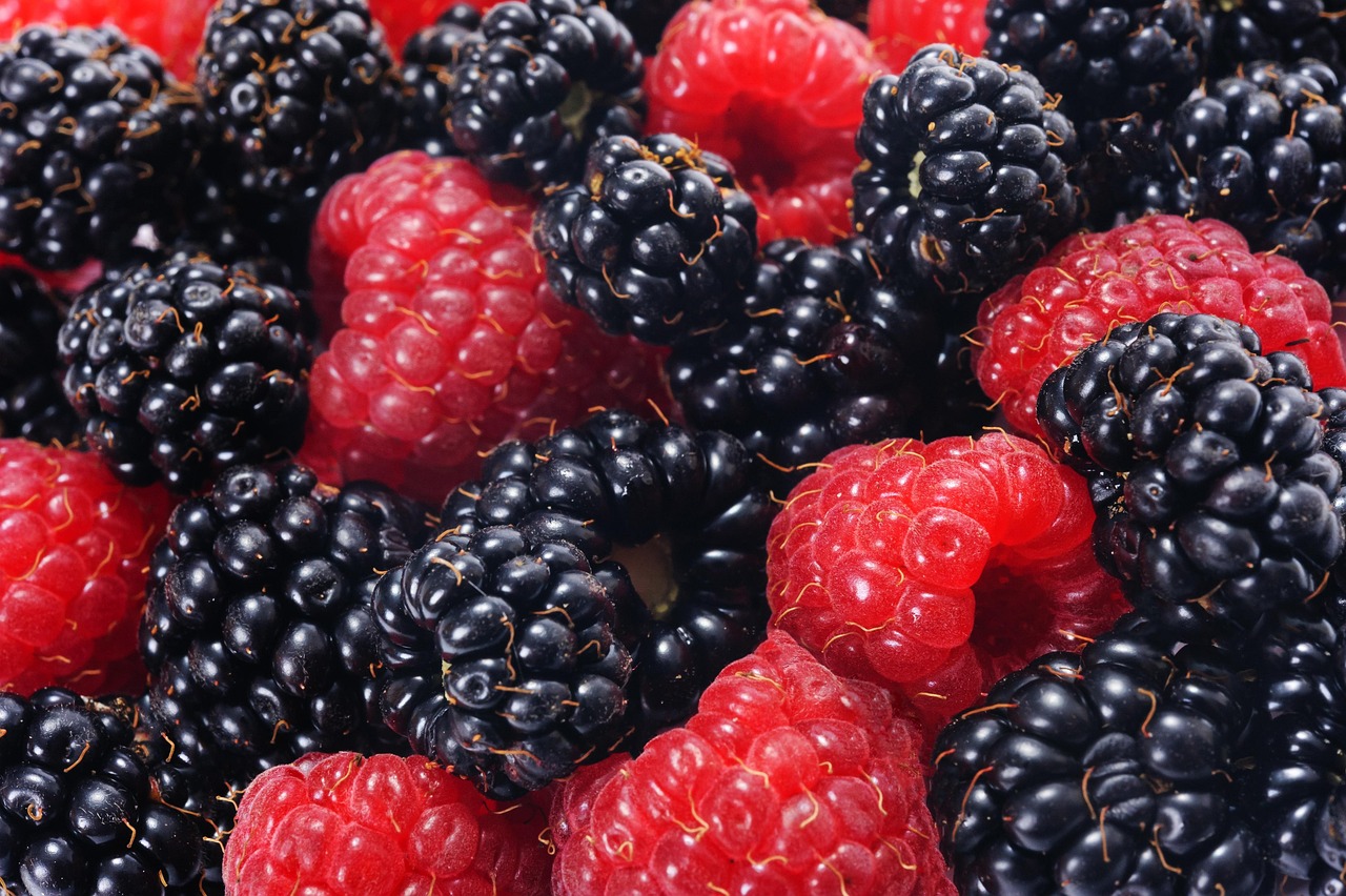 entdecken sie die welt der vitamine! erfahren sie alles über die wichtigsten vitamine, ihre funktionen, vorteile für die gesundheit und wie sie ihren täglichen bedarf optimal decken können.