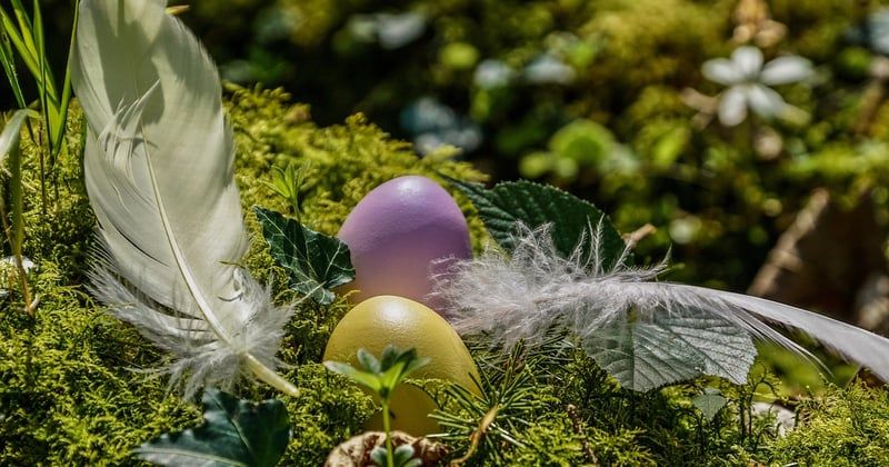 Ostergrüße Text: Die schönsten Sprüche für Karten & WhatsApp