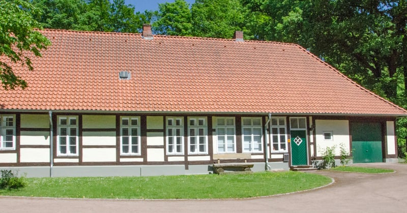 Pferdebremse: Stiche erkennen, behandeln und richtig vorbeugen